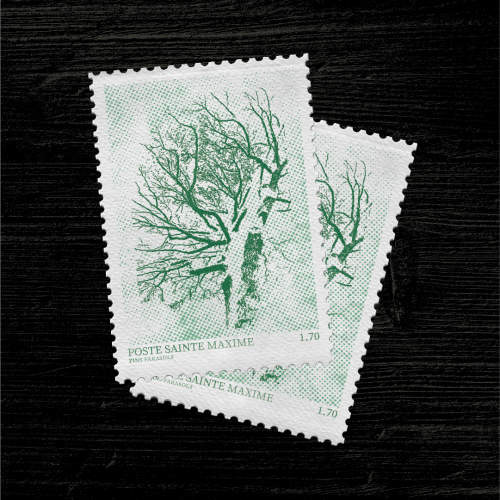 timbre sainte maxime